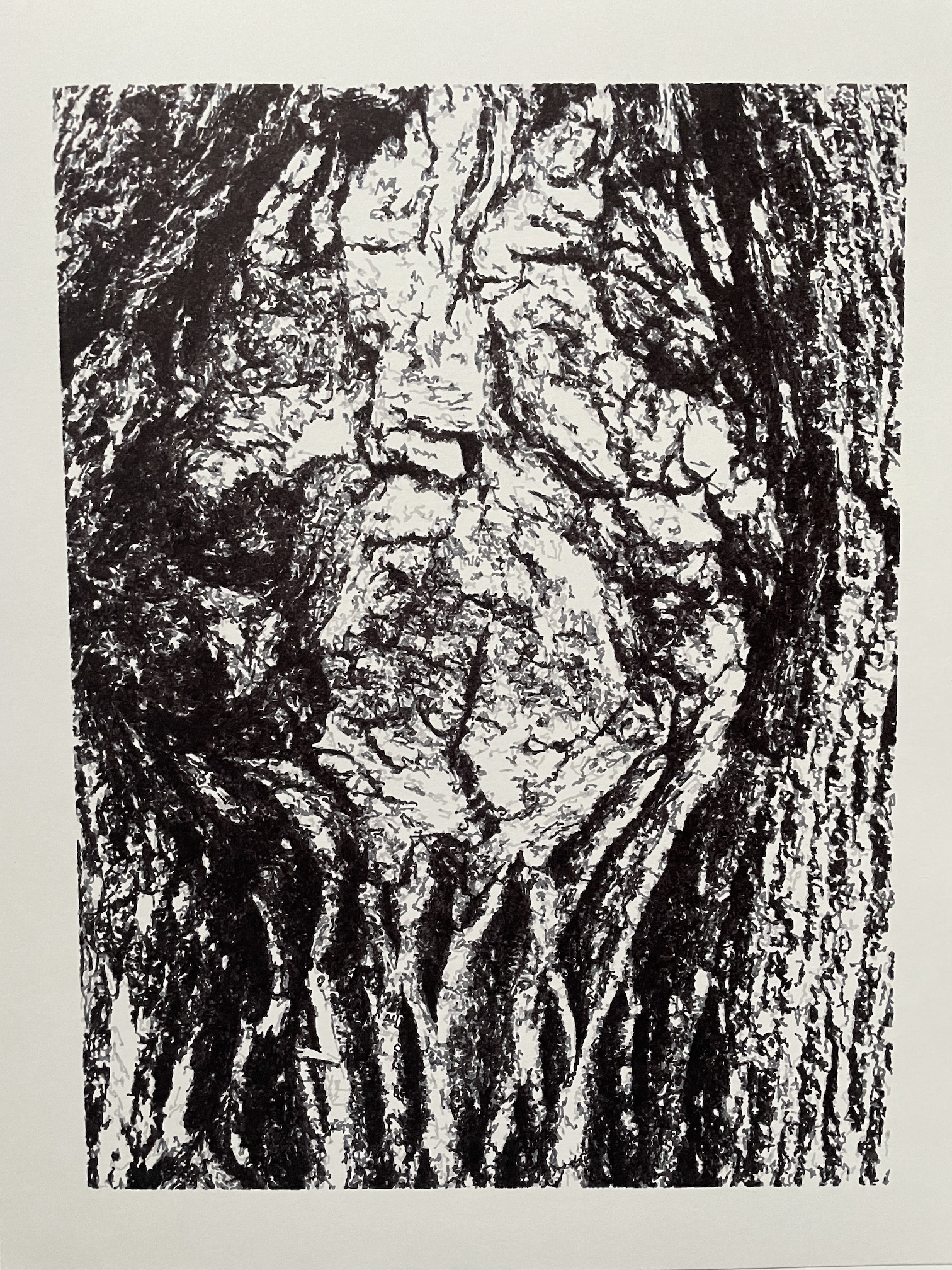 Tree Portrait 2