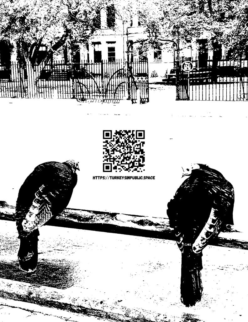 Flyer with two turkeys perched on a bench and a QR code between them