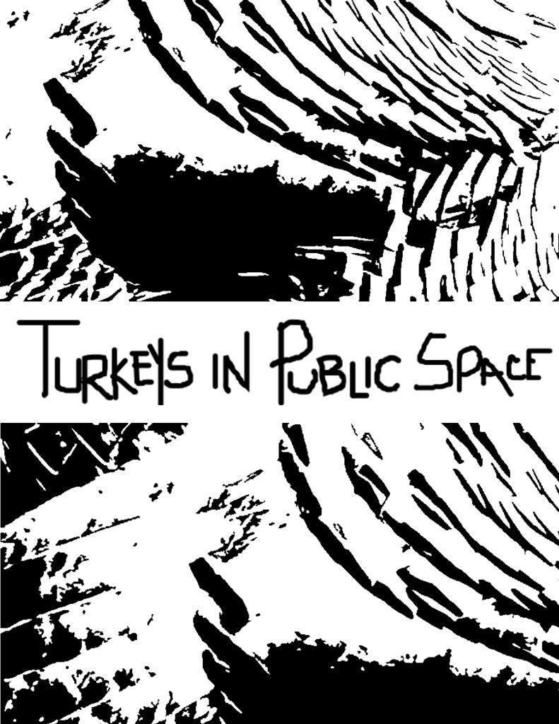 Flyer with a black-and-white turkey feather pattern and hand-lettered Turkeys in Public Space title