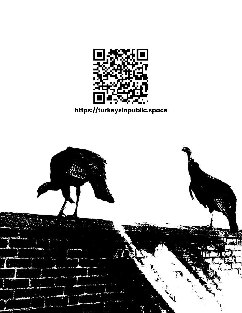Flyer with two turkeys standing on a brick wall below a QR code