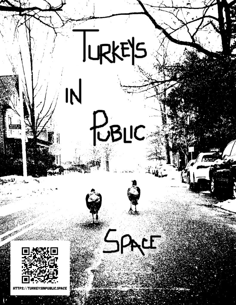 Flyer showing two turkeys walking down a snowy street with the project title and a QR code