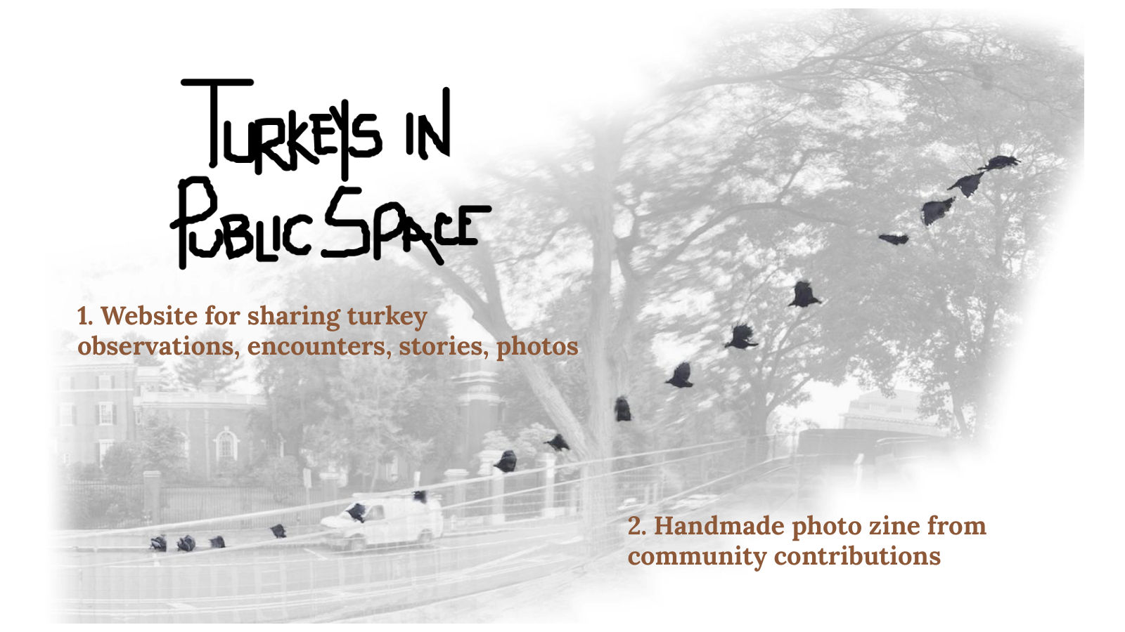 The two parts of the project: a website for sharing turkey observations, encounters, stories, and photos, and a handmade photo zine from community contributions