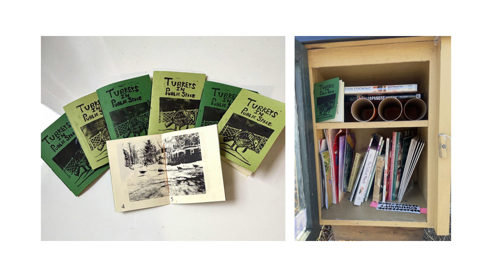 Copies of the green Turkeys in Public Space zine next to a little free library stocked with zines