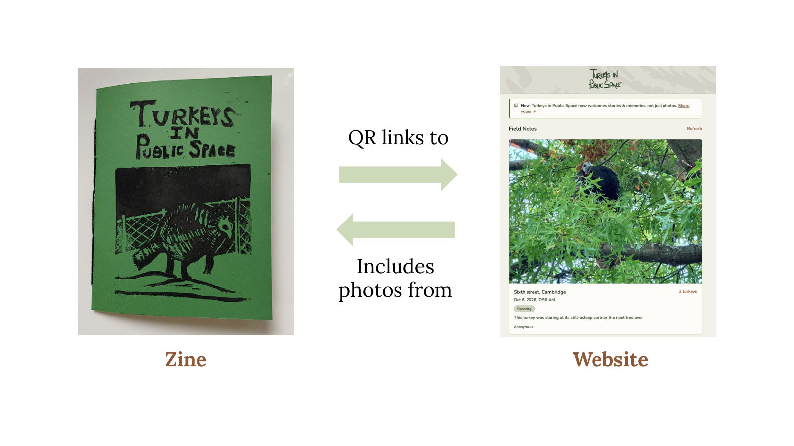 Diagram showing the zine's QR code linking to the website, and the website's photos being included in the zine
