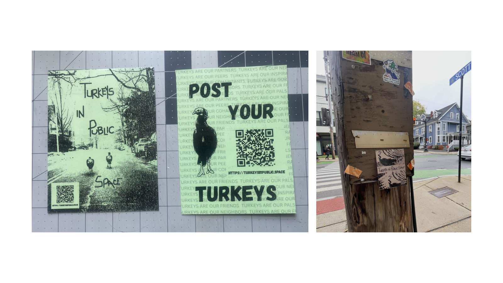 Turkeys in Public Space flyers posted on a wall and on a telephone pole
