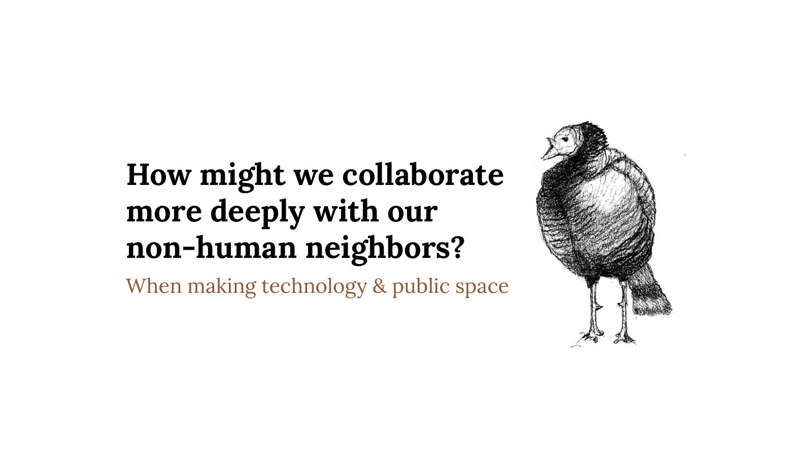How might we collaborate more deeply with our non-human neighbors when making technology and public space? Next to a drawing of a turkey