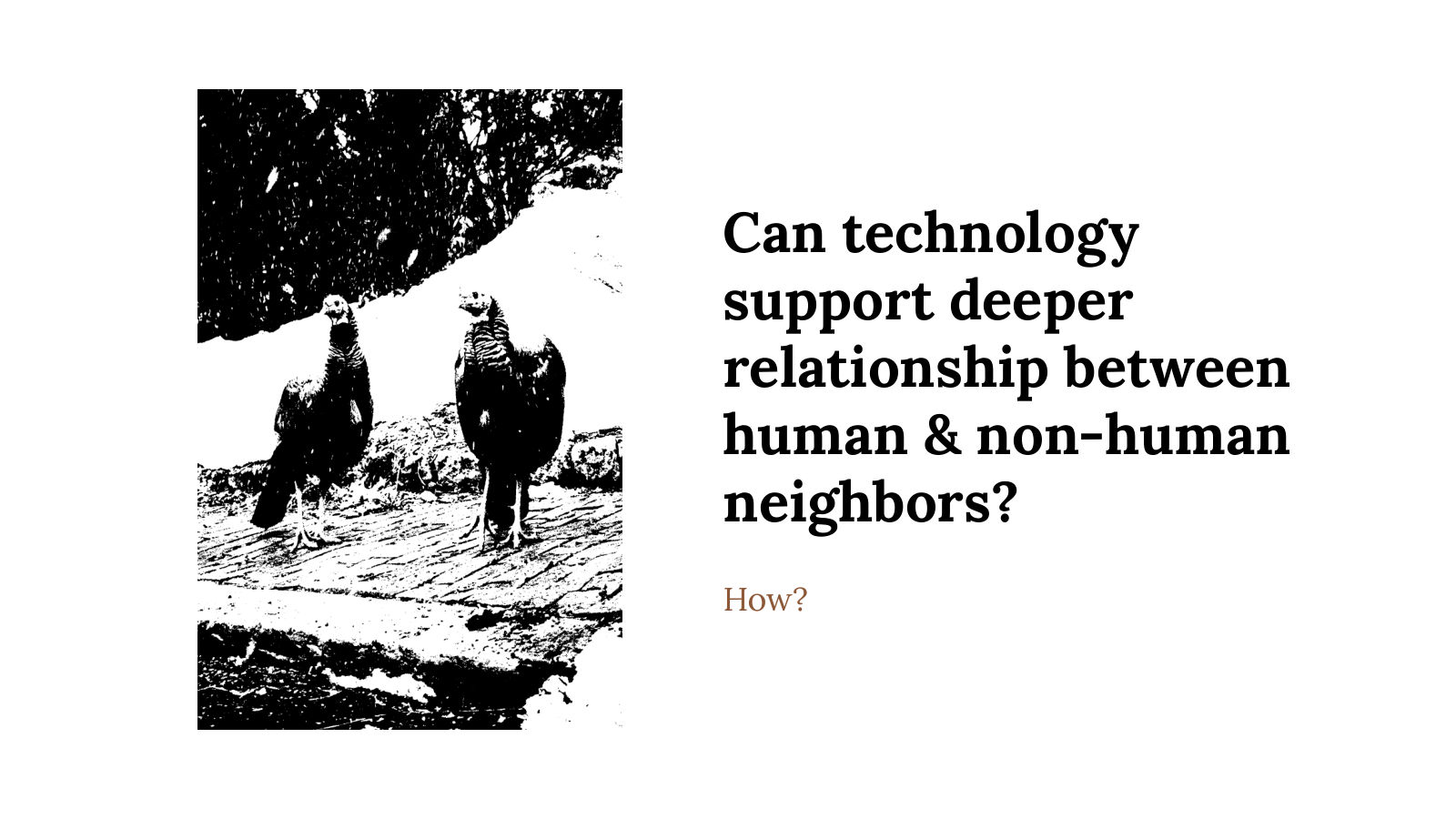 Can technology support deeper relationship between human and non-human neighbors? How? Next to a high-contrast photo of two turkeys