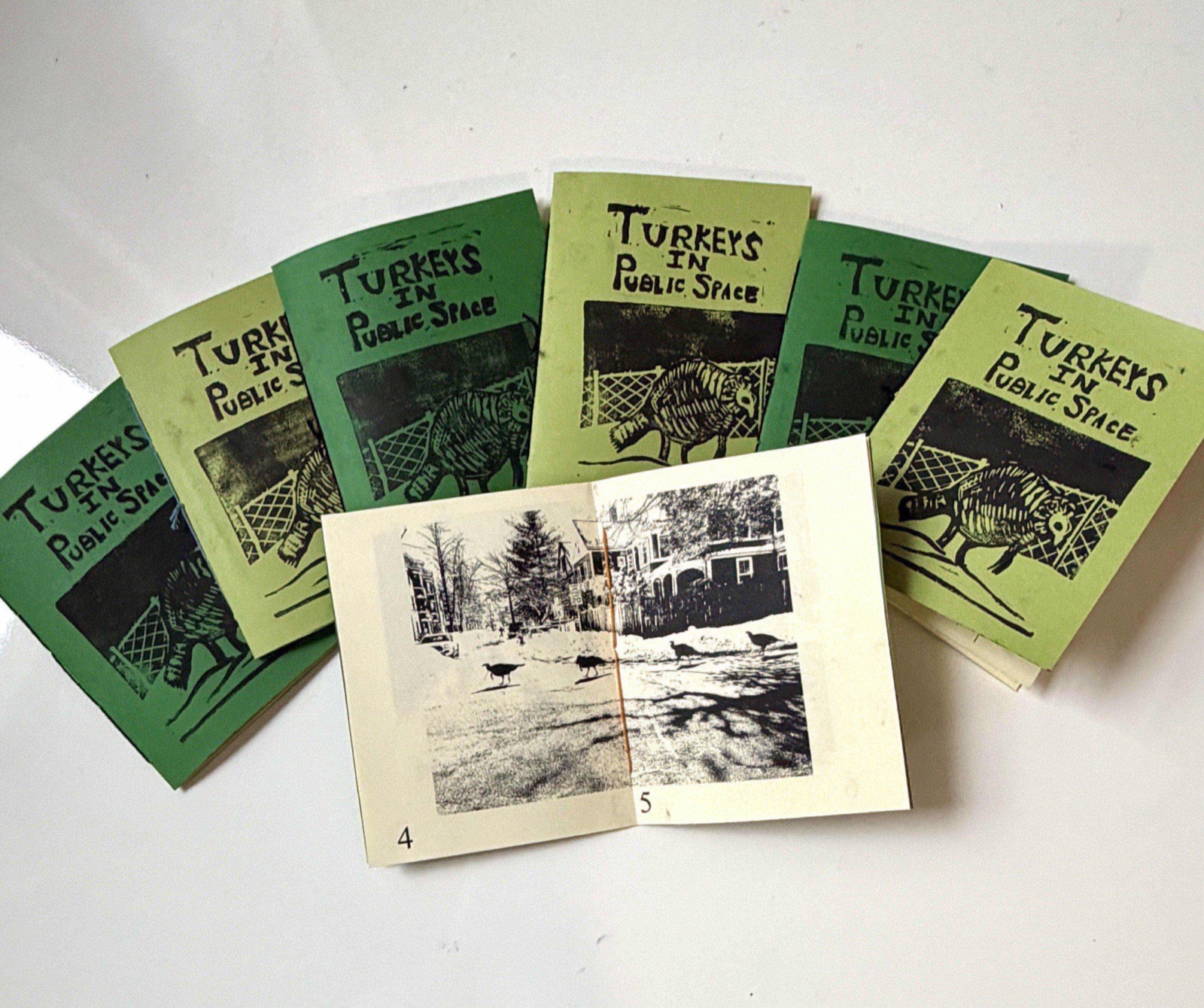 First edition of the Turkeys in Public Space zine