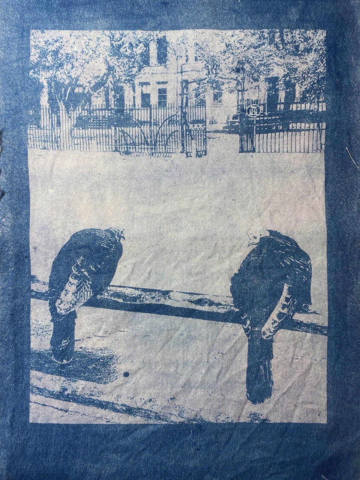 Cyanotype of two turkeys perched on a bench in front of a park fence