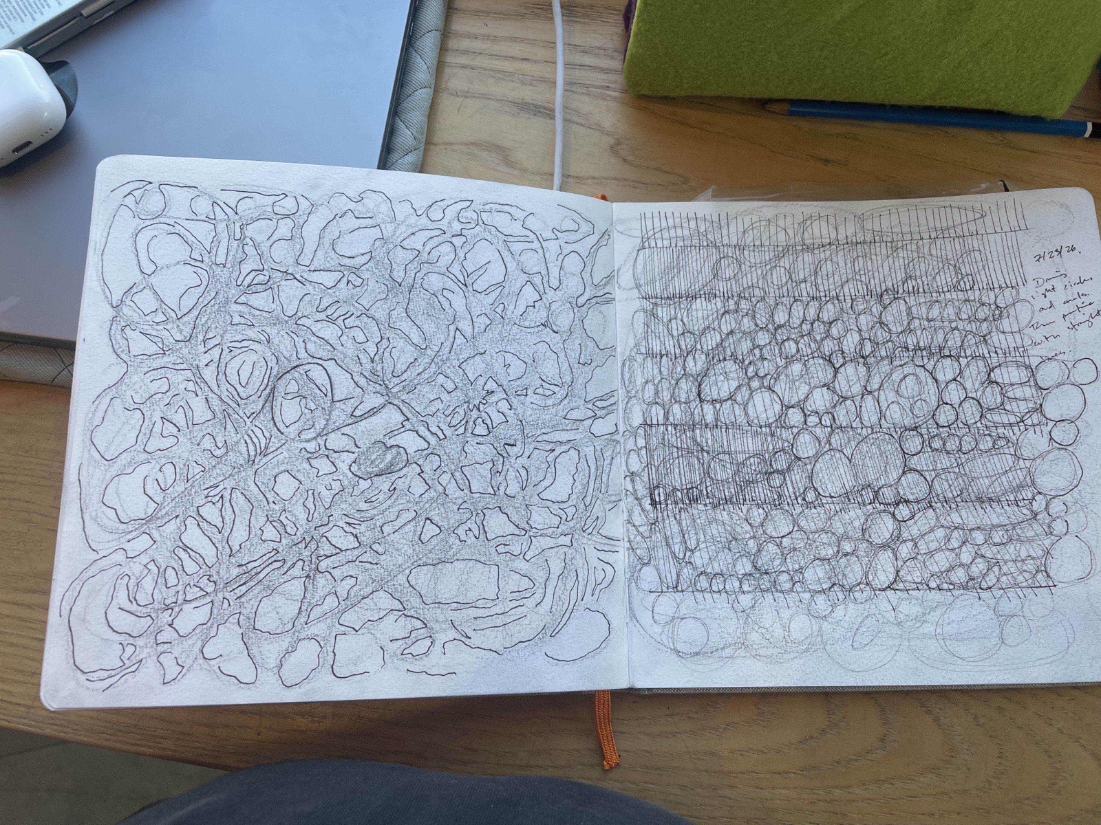 circles and ovals exercise