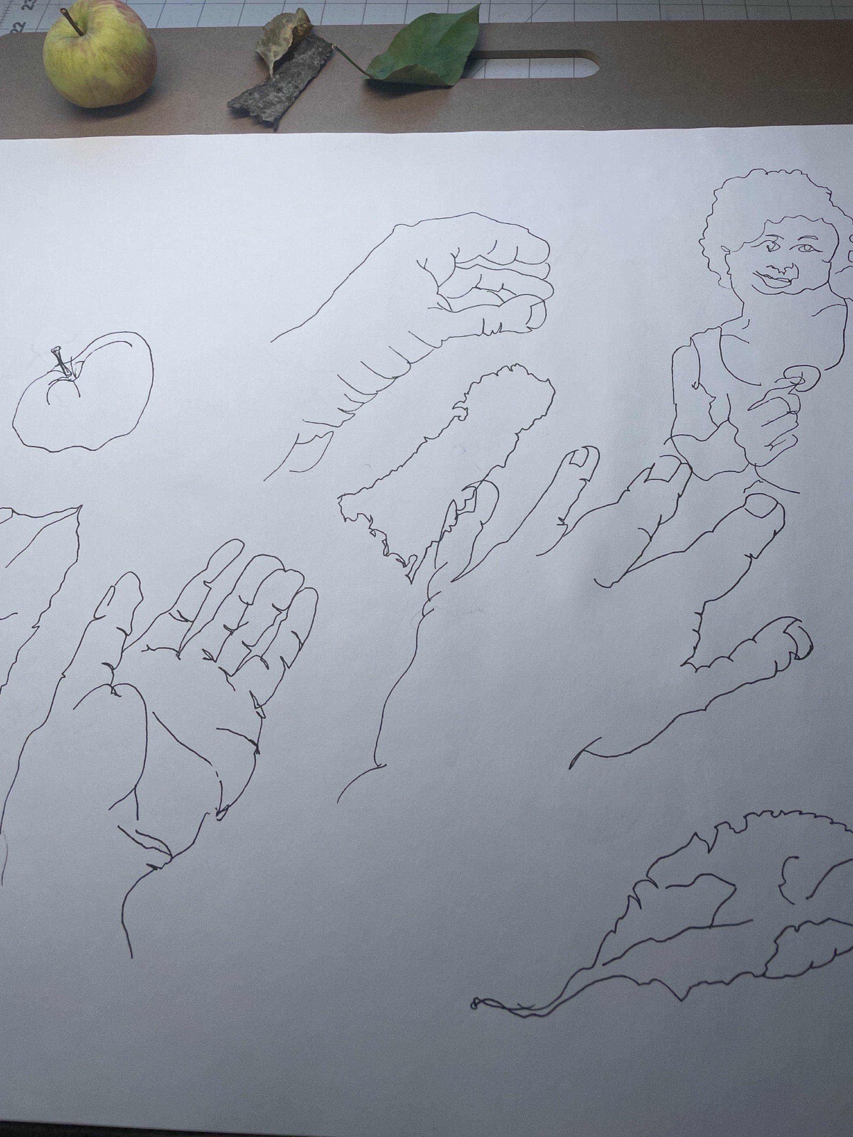 contour line drawings of hands, an apple, bark, and leaves, with the real objects at the top of the board