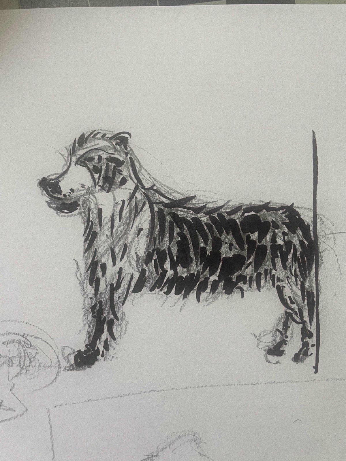 ink and pencil drawing of Tro focusing on fur texture